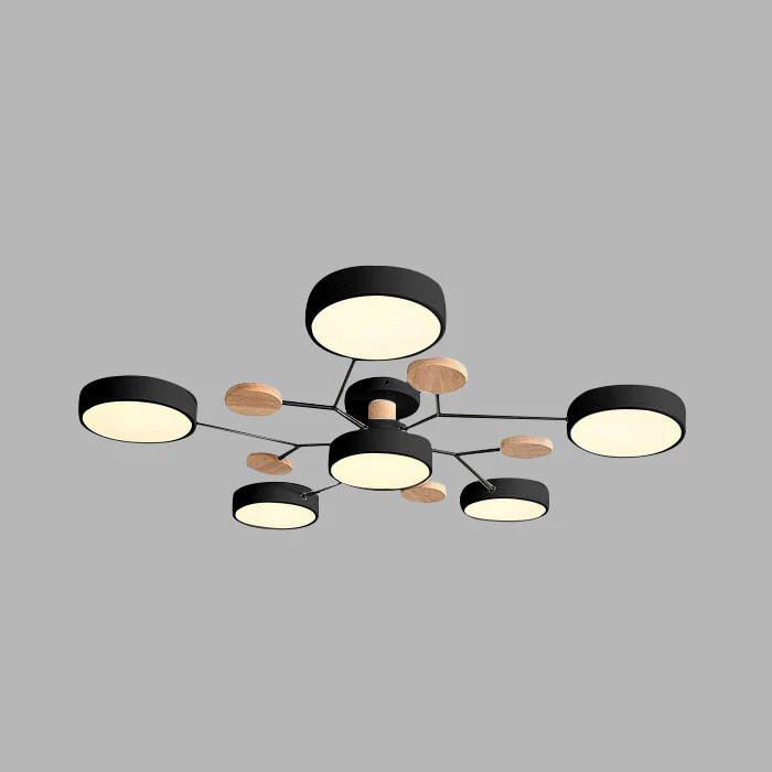 Modern LED Ceiling Light Fixture with Adjustable Brightness | Elegant Design for Stylish Living Spaces