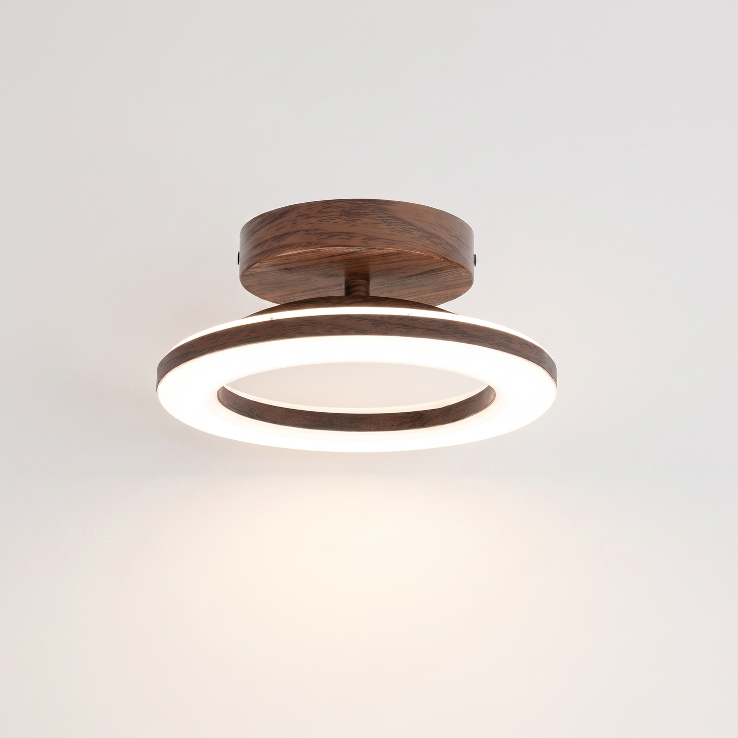 Modern Glow Disc (Brown) — clean background hero
