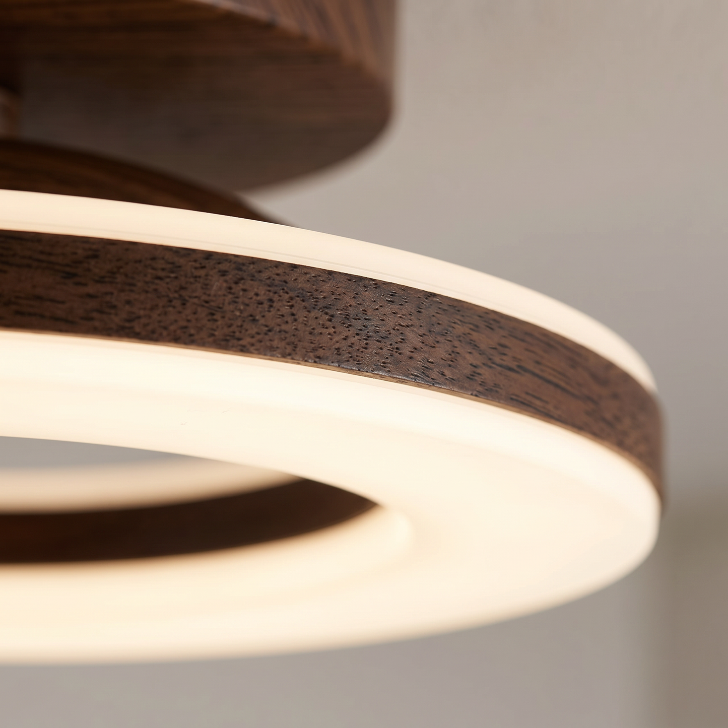 Modern Glow Disc (Brown) — close-up glow detail