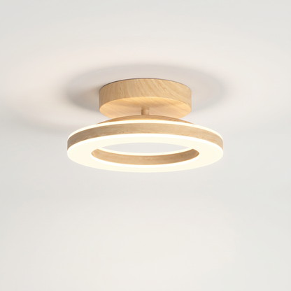 Modern Glow Disc (Wood) — clean background hero