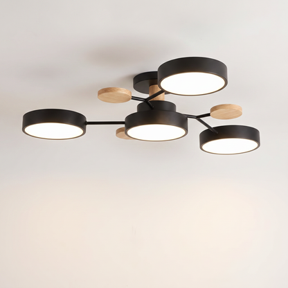 Modern LED Ceiling Light Fixture with Adjustable Brightness | Elegant Design for Stylish Living Spaces