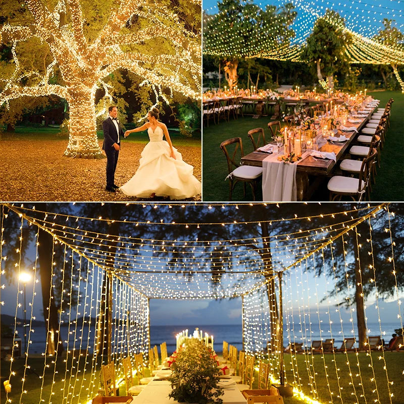 Willow Cozy Warm White Fairy Lights | 800 LED String Lights with Remote & Timer